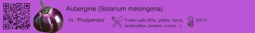 Etiquette